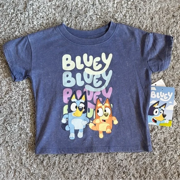 ✨$5✨NWT•Bluey & Bingo Toddler Short Sleeve Tee | Gray Blue |  5T - Picture 3 of 5